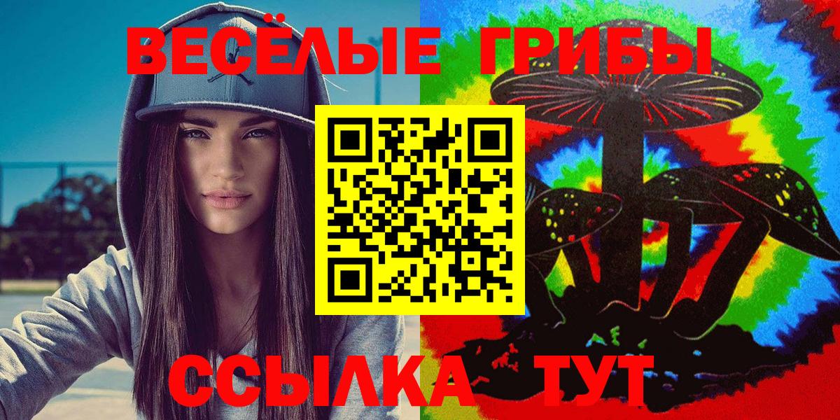 где купить наркотик  Галлюциногенные грибы MAGIC MUSHROOMS  Вход с VPN  Кореновск 