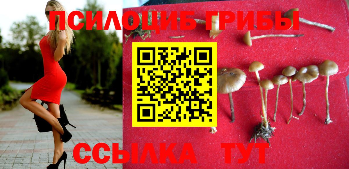 Псилоцибиновые грибы мицелий Кореновск